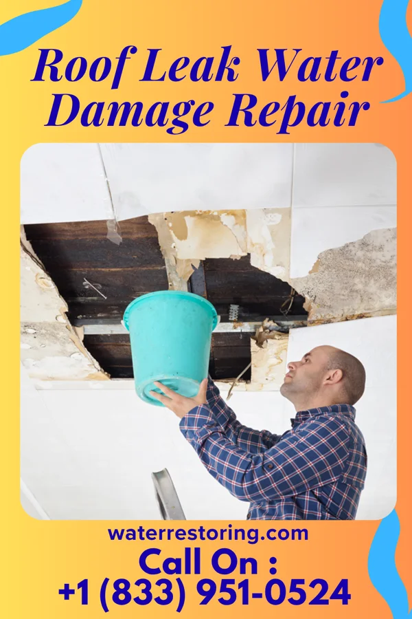 Roof Leak Water Damage Repair in Maud, TX