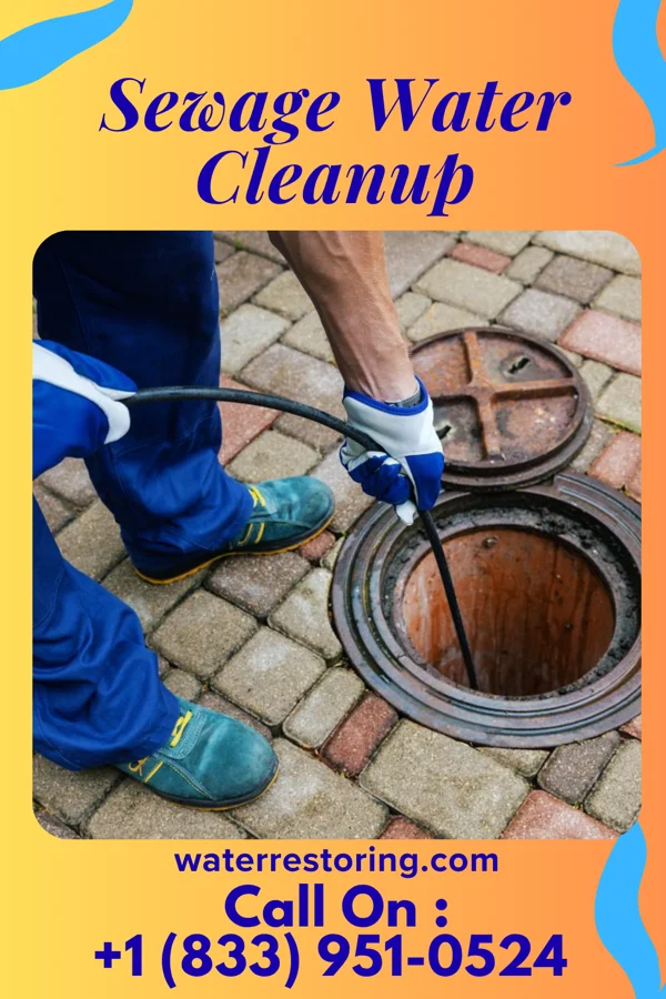 Sewage Water Cleanup in Maud, TX