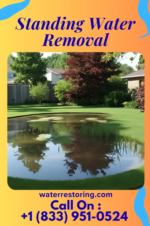 Standing Water Removal in Maud, TX